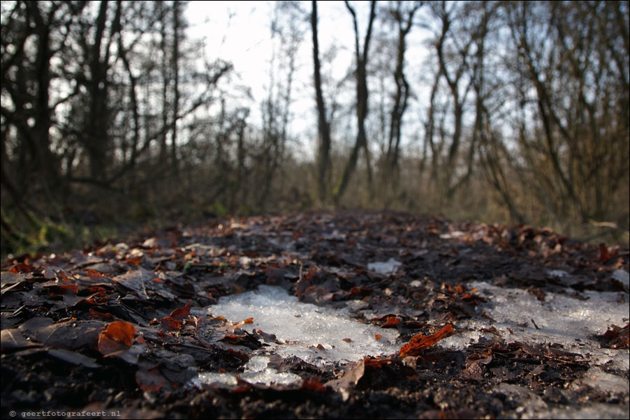 gagelbos