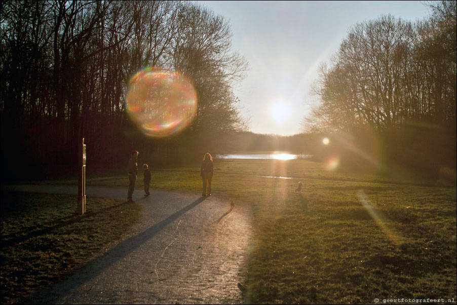 winterzon - amsterdamse bos