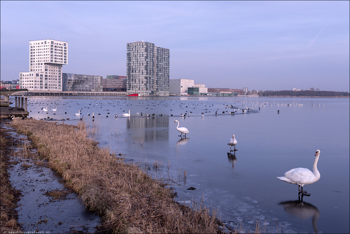 Weerwater Almere