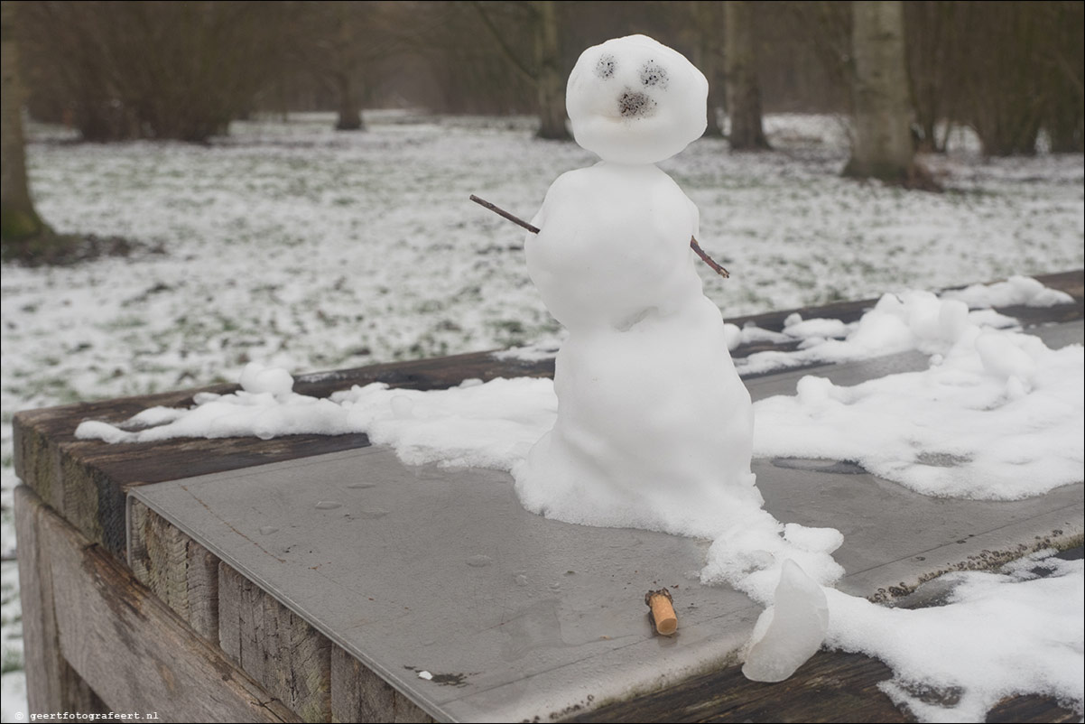 Winter sneeuwpop