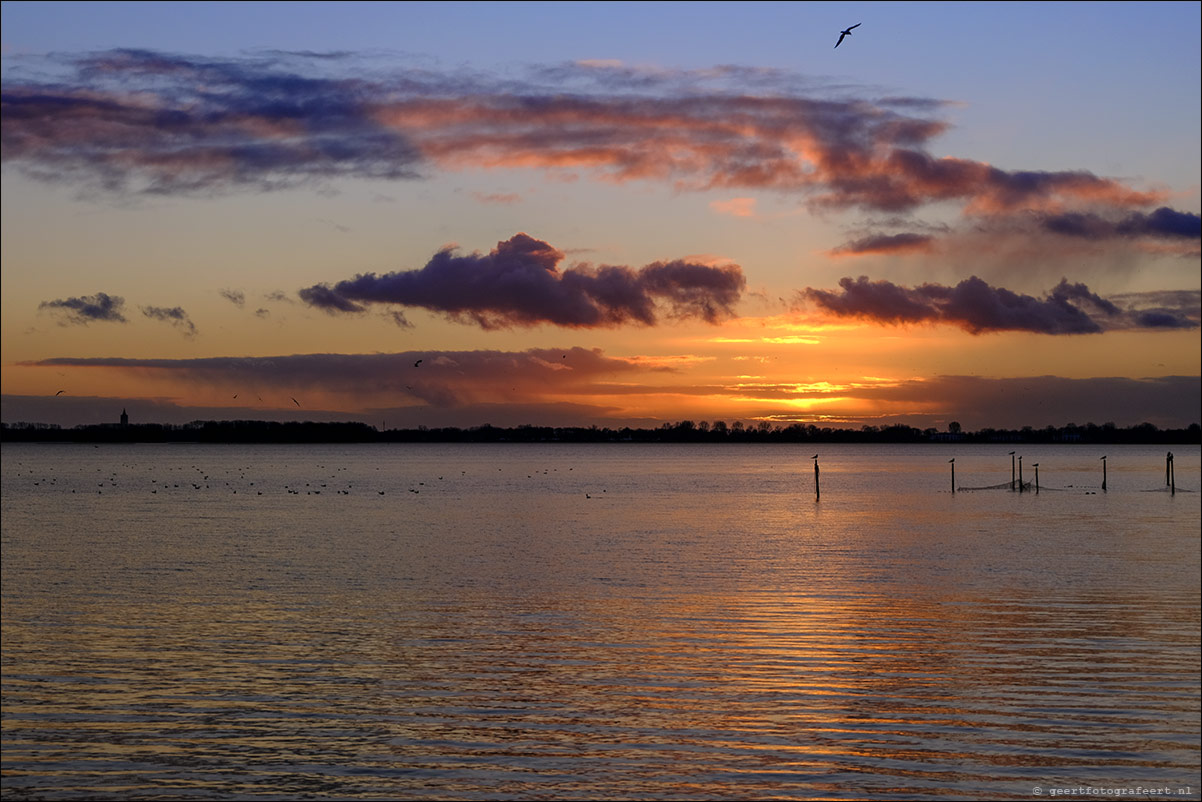Gooimeer