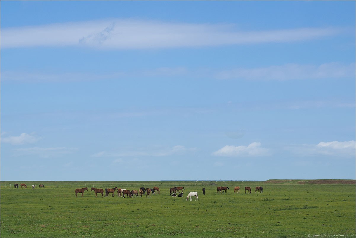 kustpad: harlingen - zwarte haan - holwerd