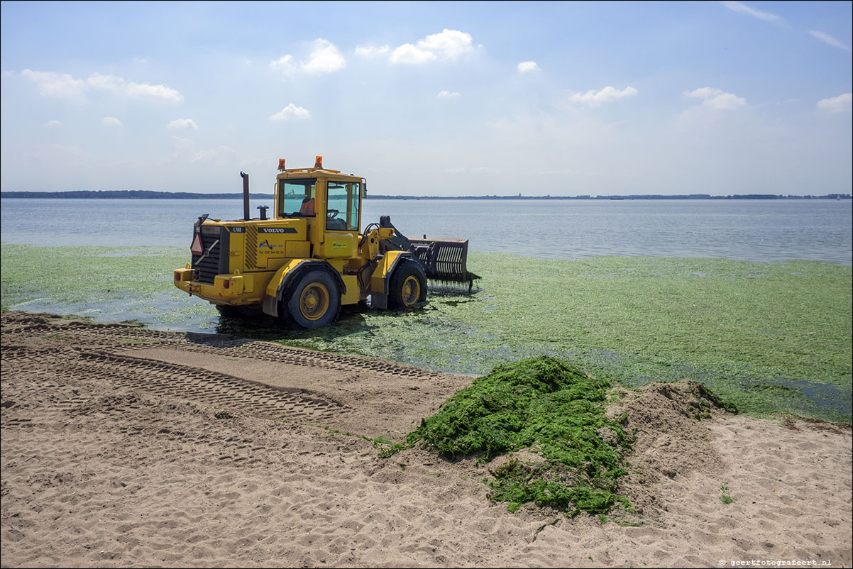 Gooimeer