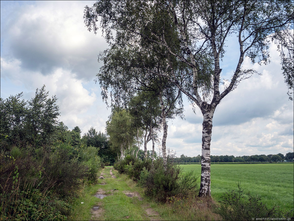 Grenslandpad: Reusel - Esbeek