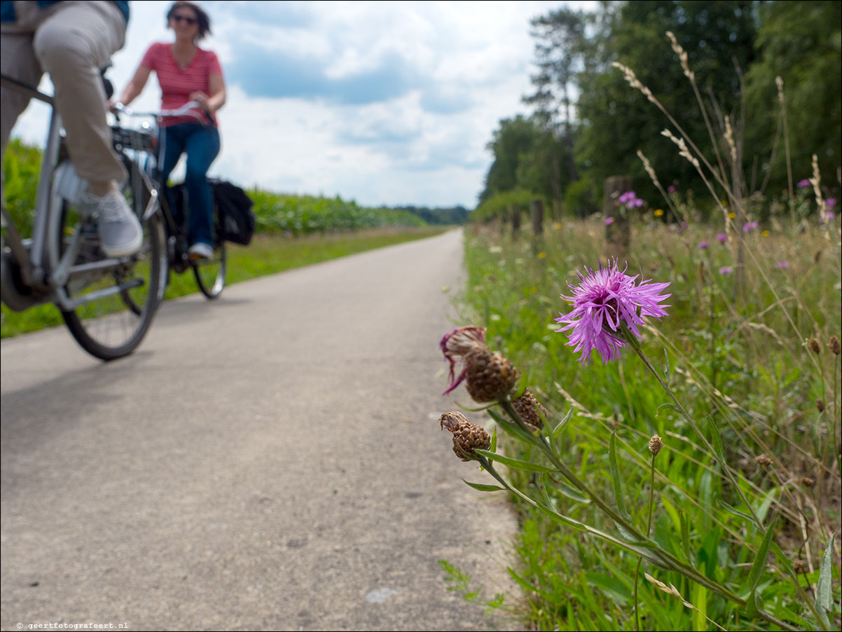 Grenslandpad: Reusel - Esbeek