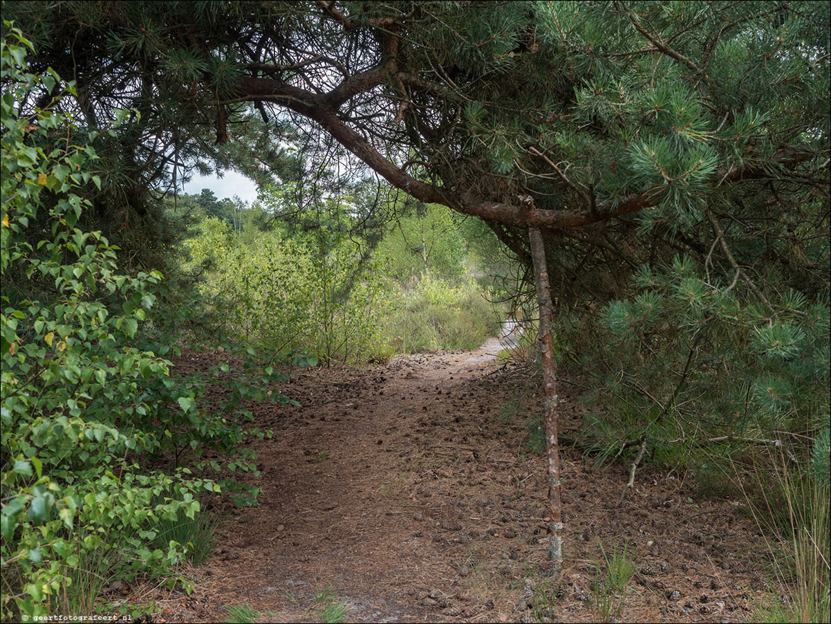 Grenslandpad: Reusel - Esbeek