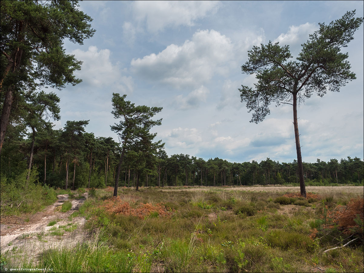 Grenslandpad: Reusel - Esbeek