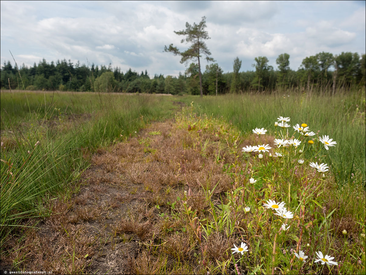 Grenslandpad: Reusel - Esbeek