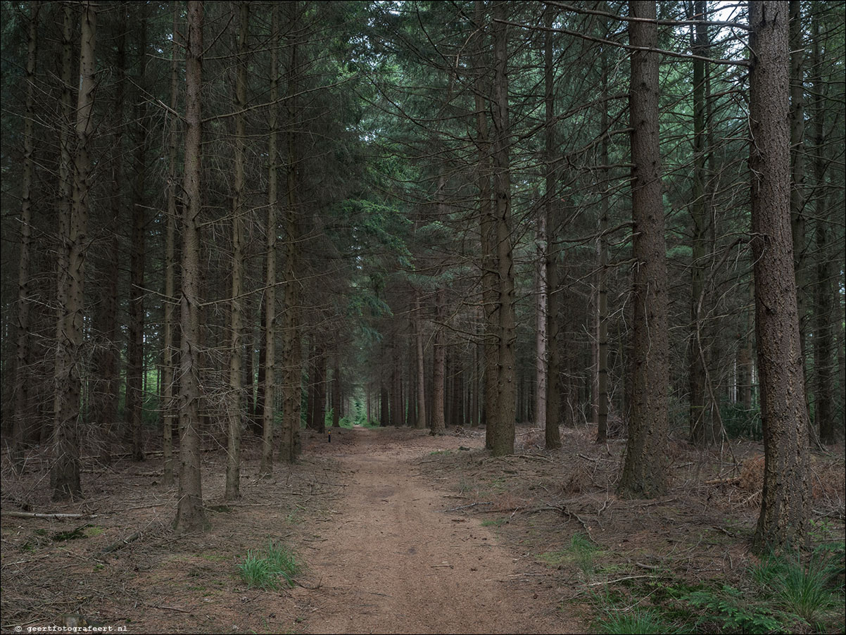 Grenslandpad: Reusel - Esbeek