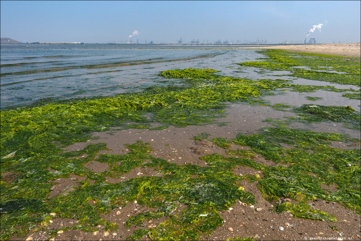 Langs de Rand van Nederland: Rockanje - Hoek van Holland