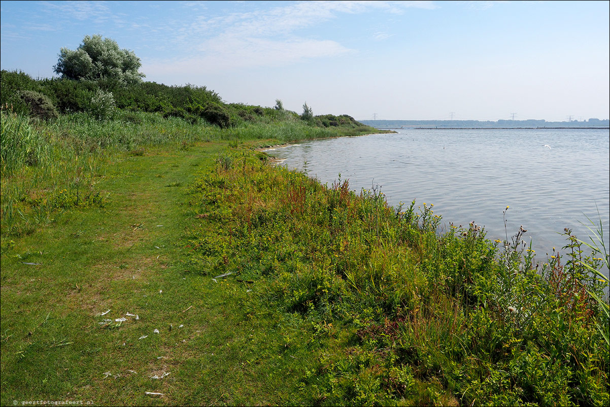 Langs de Rand van Nederland: Rockanje - Hoek van Holland