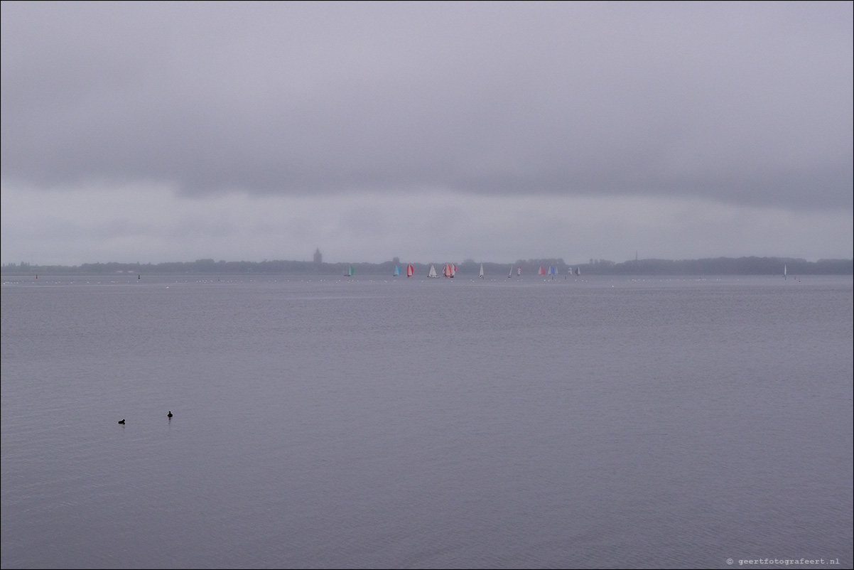 gooimeer