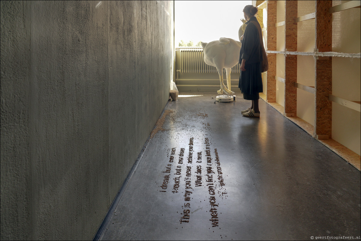 Graduation Show 2023 Gerrit Rietveld Academie Amsterdam