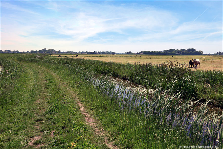 aetveldscheweg 