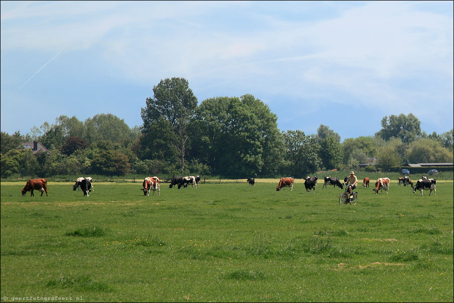 aetveldscheweg 
