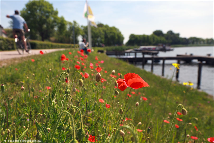 Dammerweg, Vecht