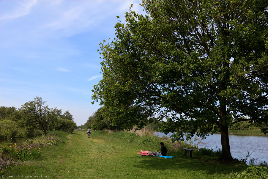 Dammerkade, Ankeveense Plassen