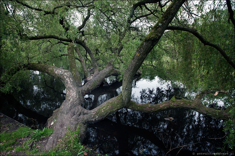 vondelpark
