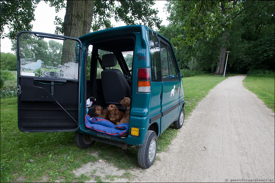 tekkeltaxi