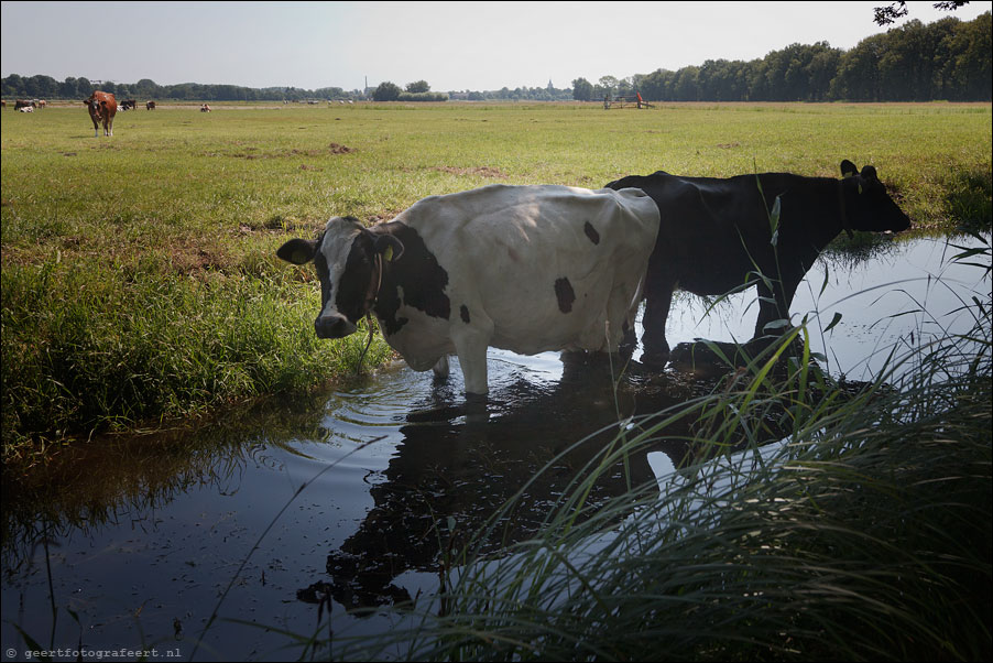Naardermeer Natuurgebied
