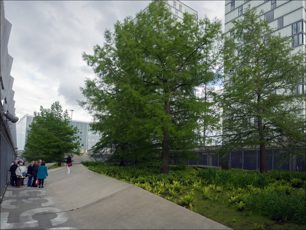 dag van de architectuur Almere