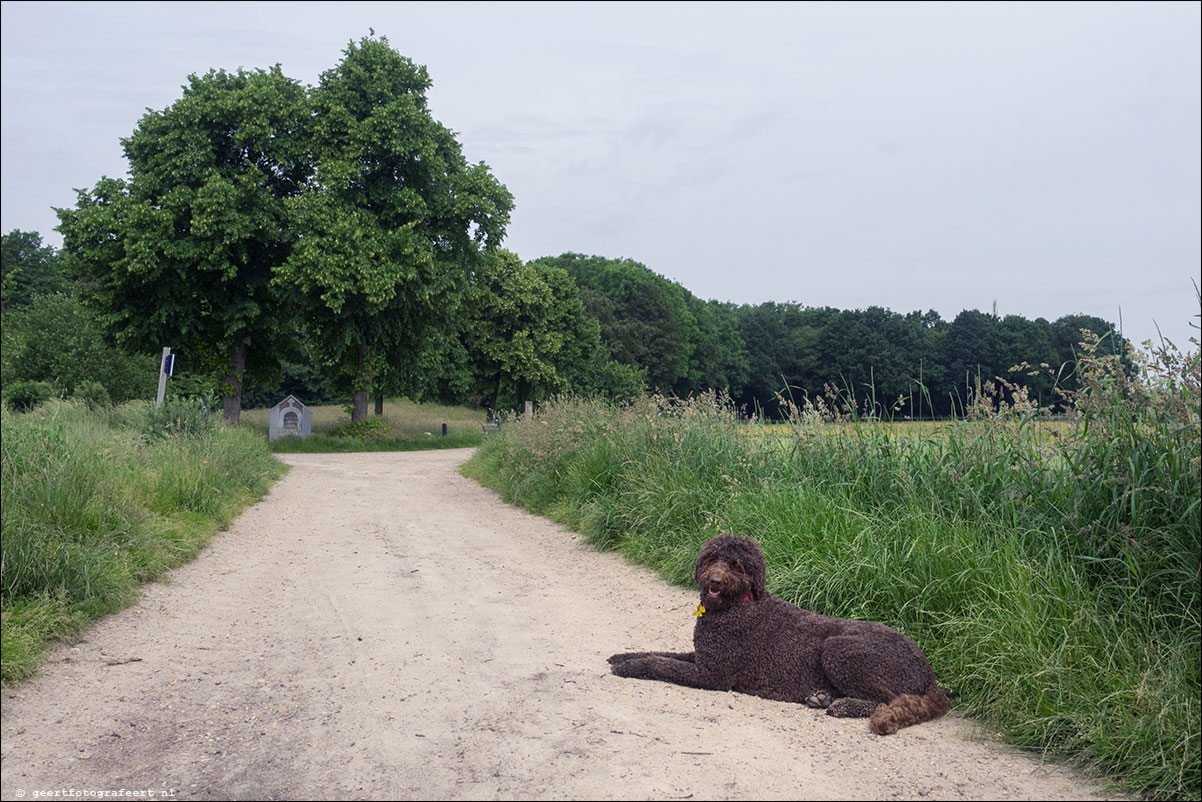 grenspad: Sittard - Brunssumerheide - Landgraaf