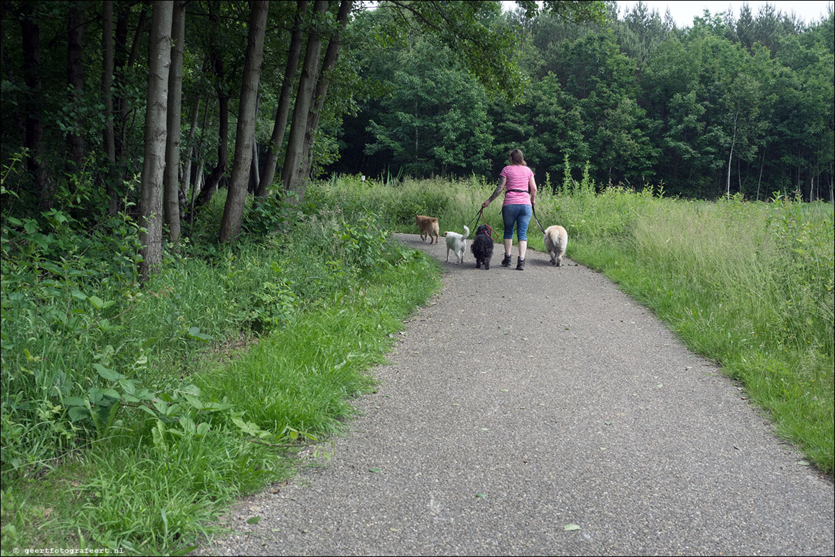 grenspad: Sittard - Brunssumerheide - Landgraaf