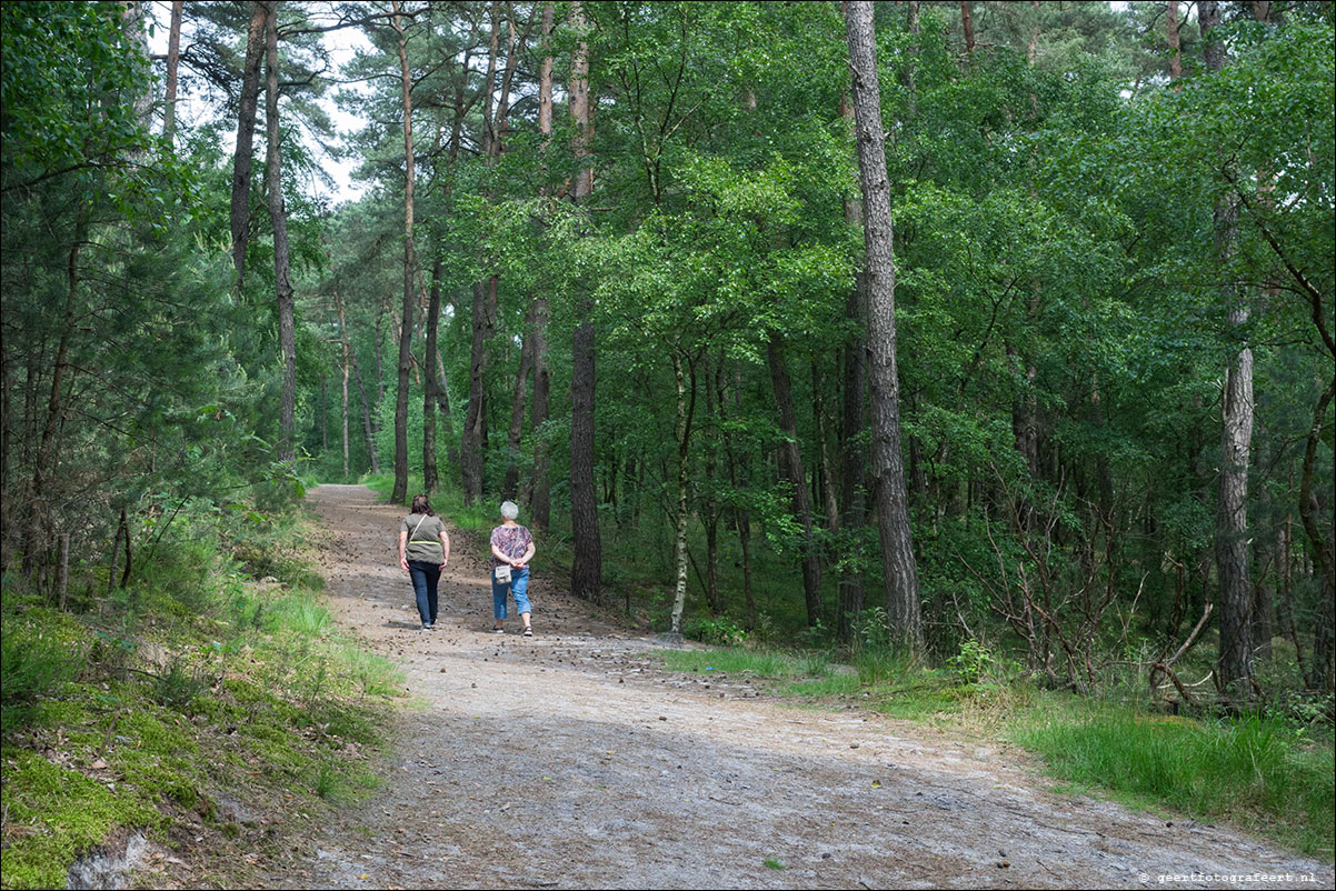 grenspad: Sittard - Brunssumerheide - Landgraaf