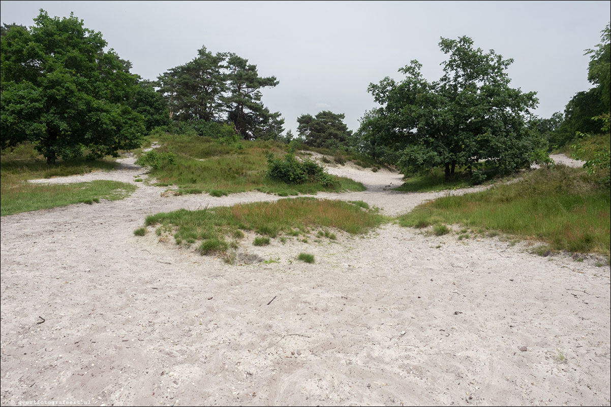 grenspad: Sittard - Brunssumerheide - Landgraaf