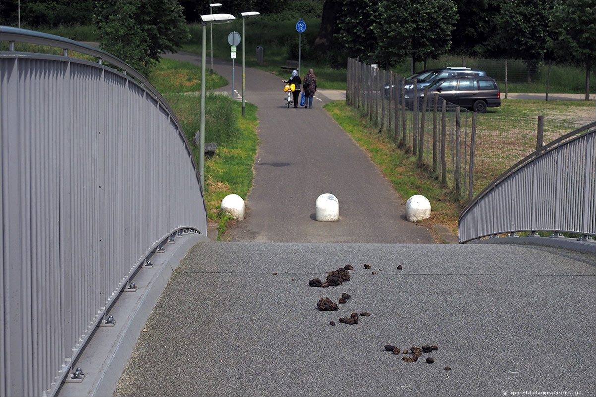 grenspad: Sittard - Brunssumerheide - Landgraaf