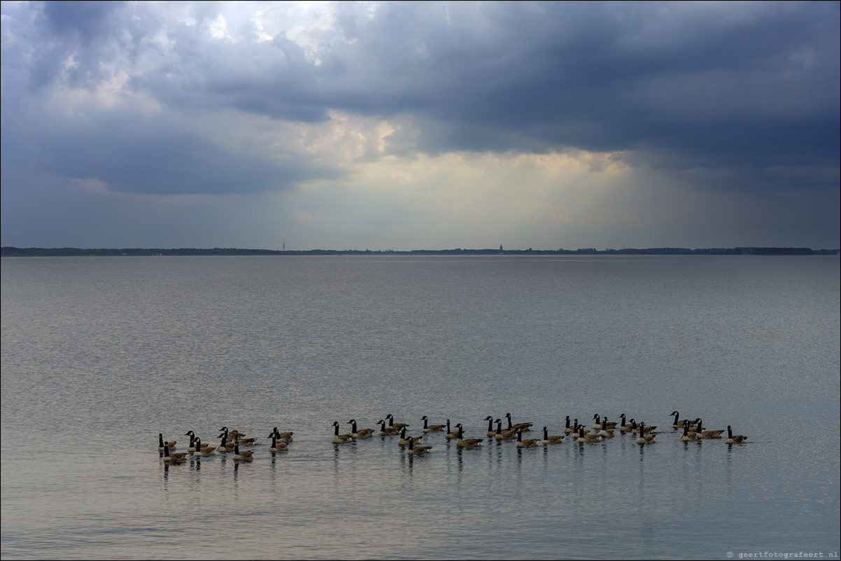 Gooimeer Almere Haven