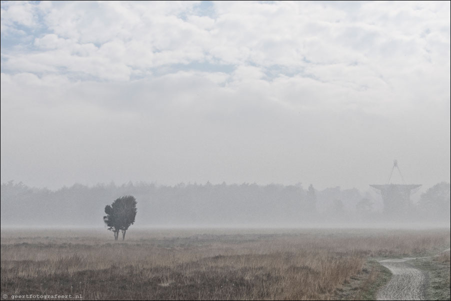 Dwingelderveld
