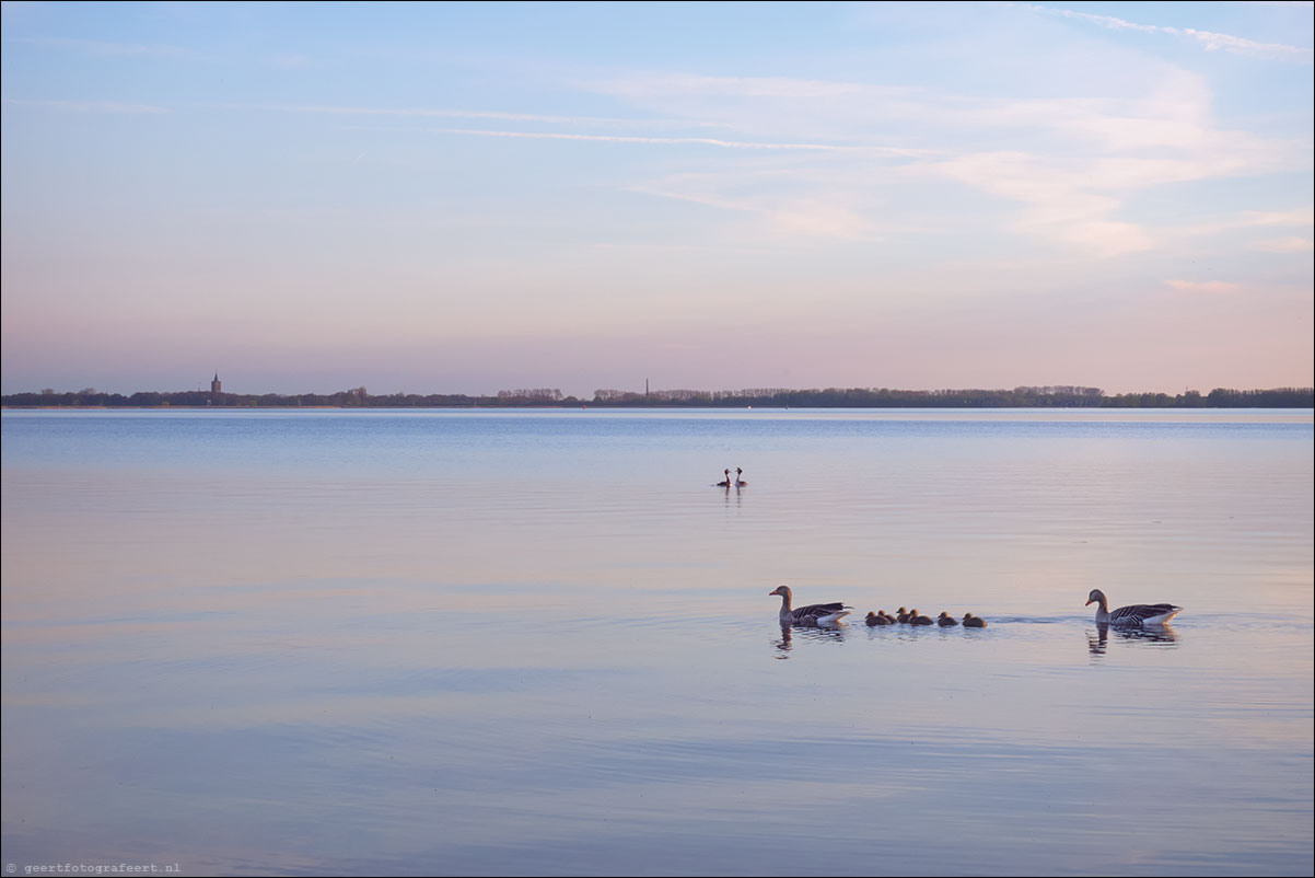 Gooimeer