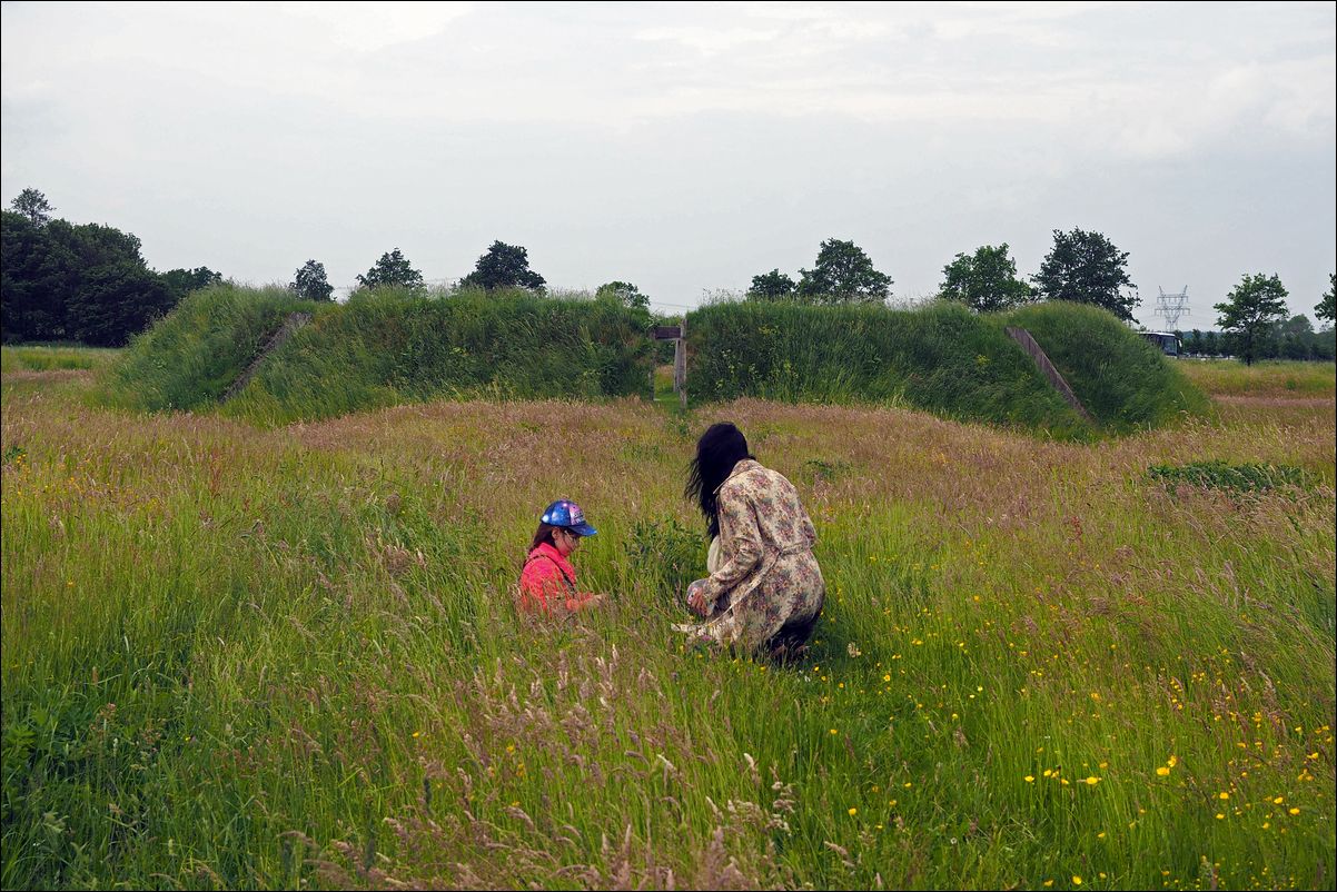 Land Art Flevoland:  Observatorium (1977), Robert Morris. 