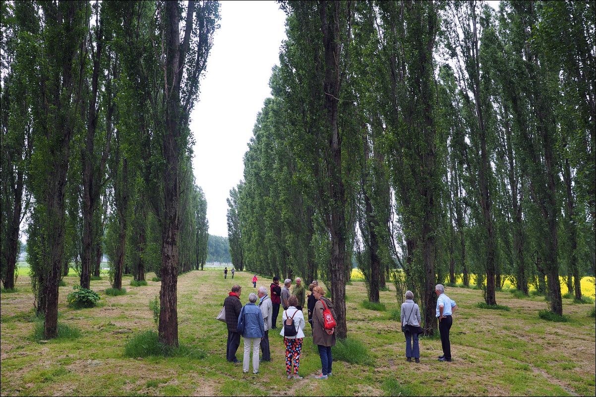 Land Art Flevoland: De Groene Kathedraal (1996), Marinus Boezem. 