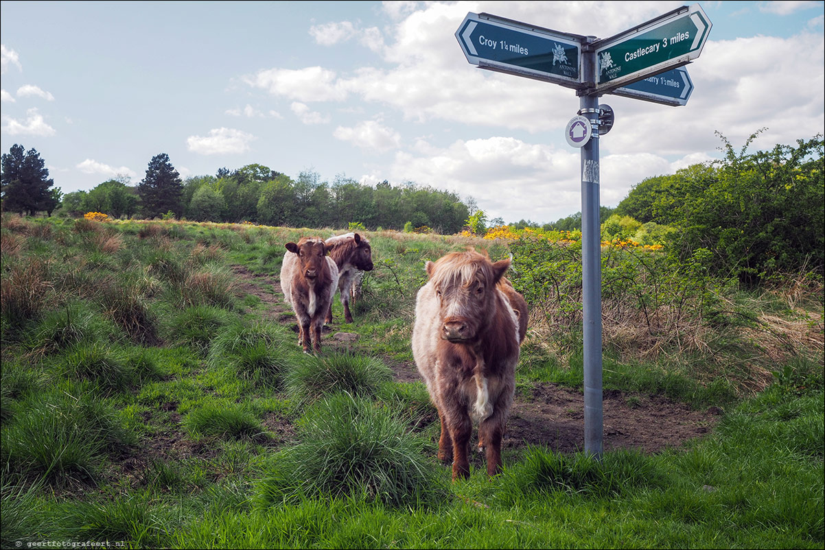 wandeling langs de Muur van Antoninus Schotland Kirkintilloch - Castleary Hotel