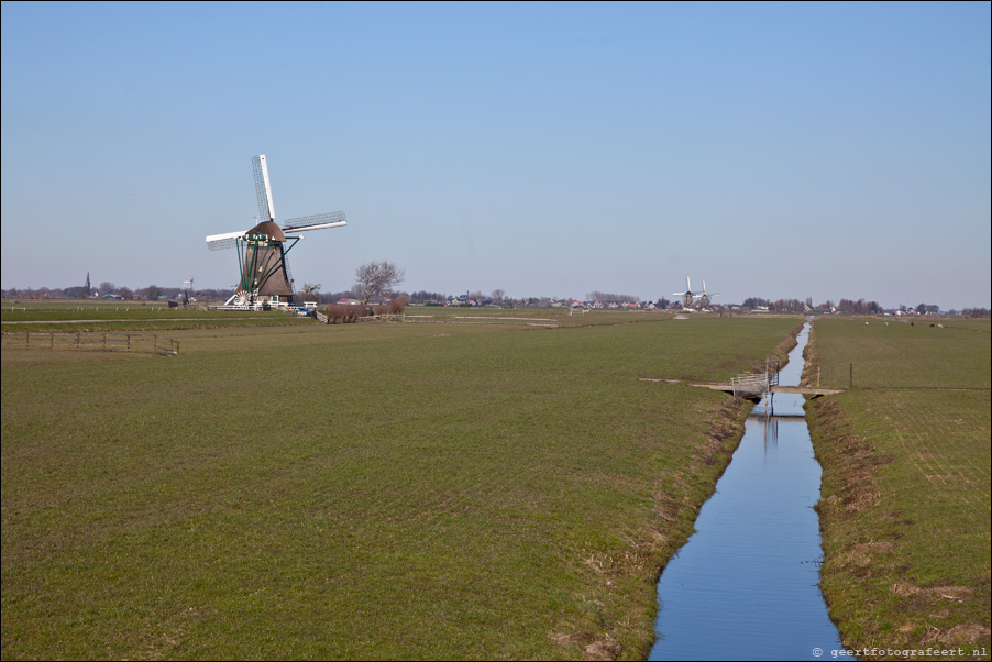 groene hart