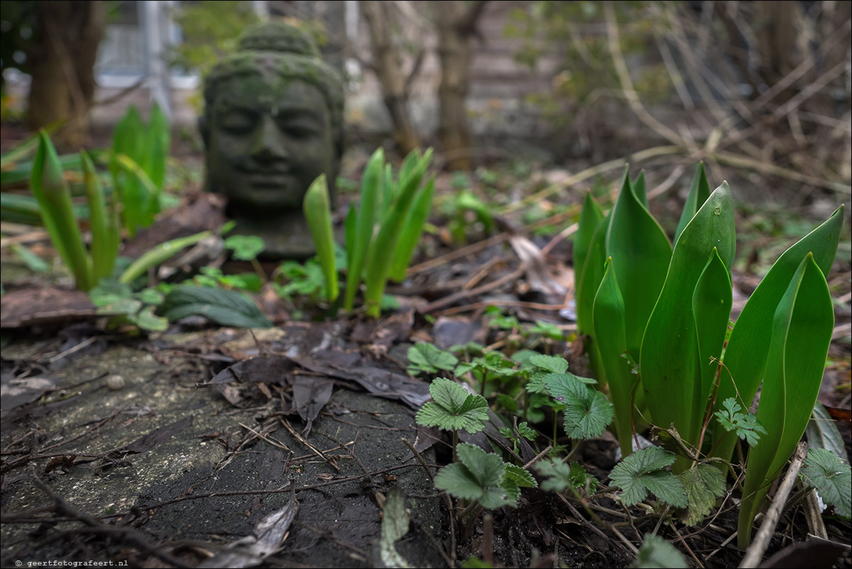 lente belofte