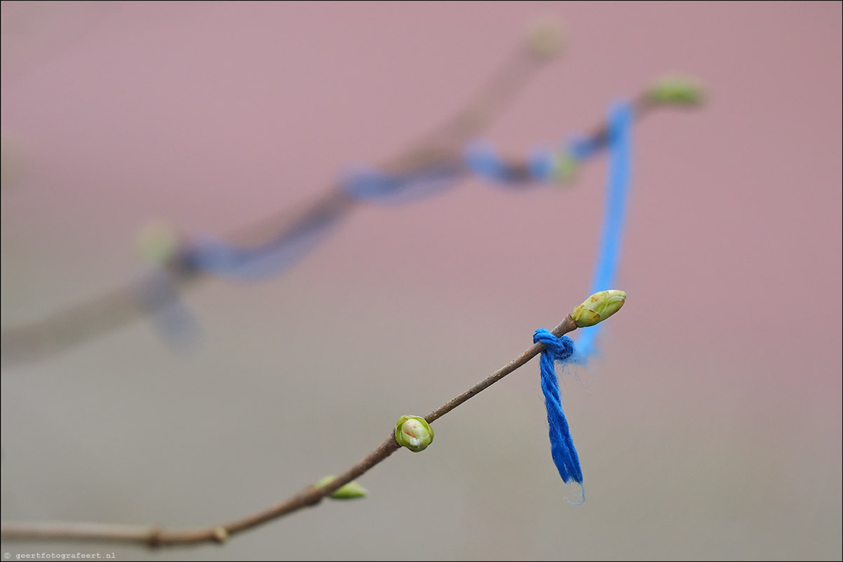 lente vrij