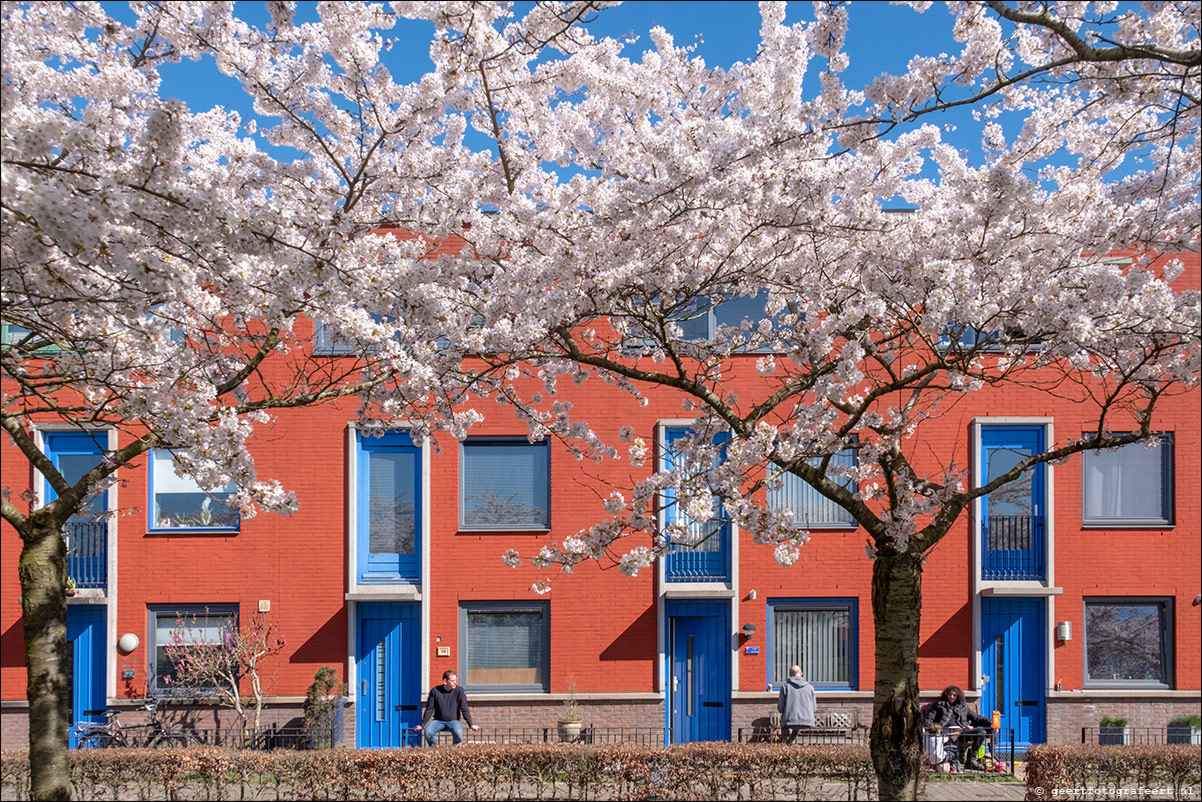 lente