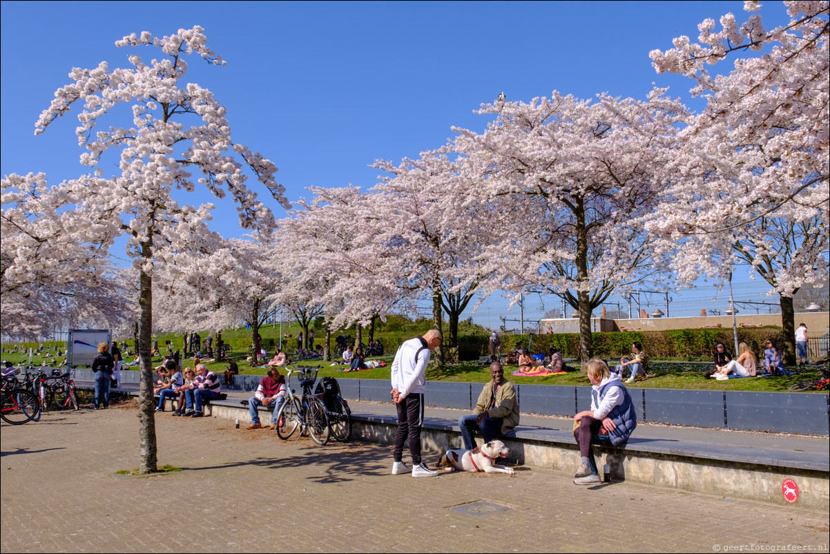 Amsterdam Westerapark