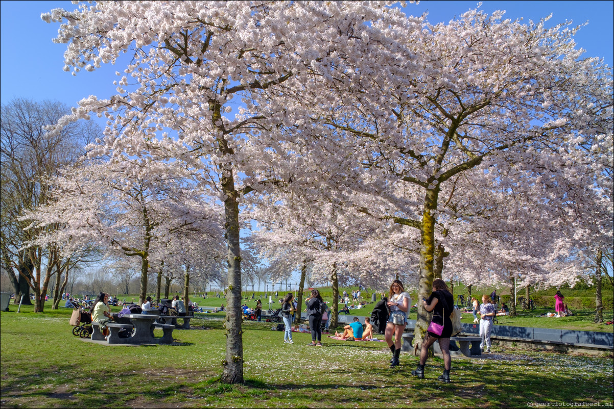 Amsterdam Westerapark