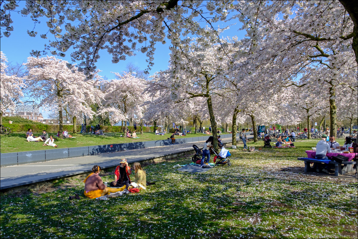 Amsterdam Westerapark