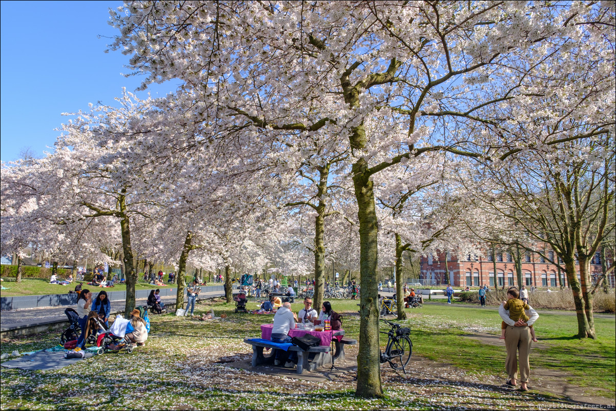 Amsterdam Westerapark