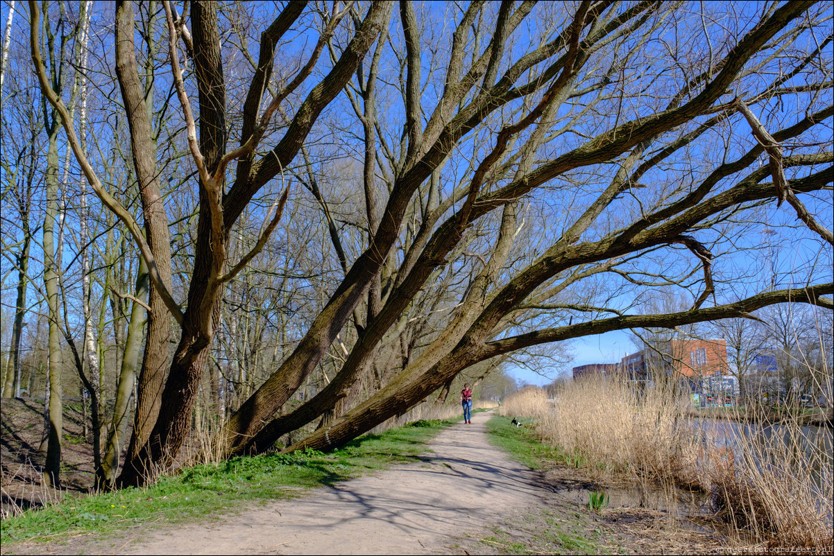 Amsterdam Westerapark