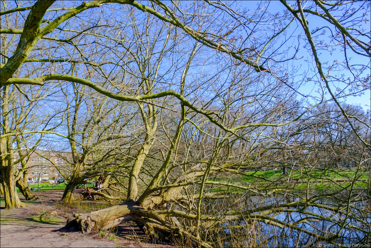 Amsterdam Rembrandtpark