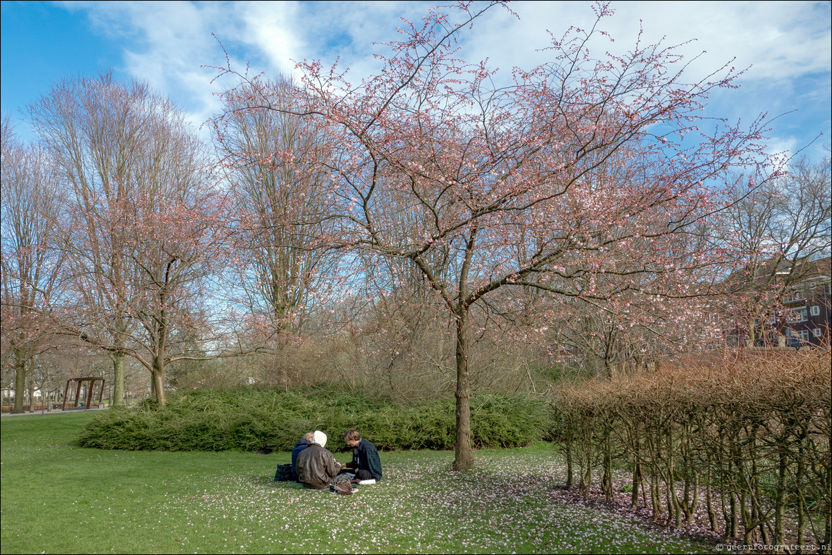 Amsterdam Erasmuspark lente