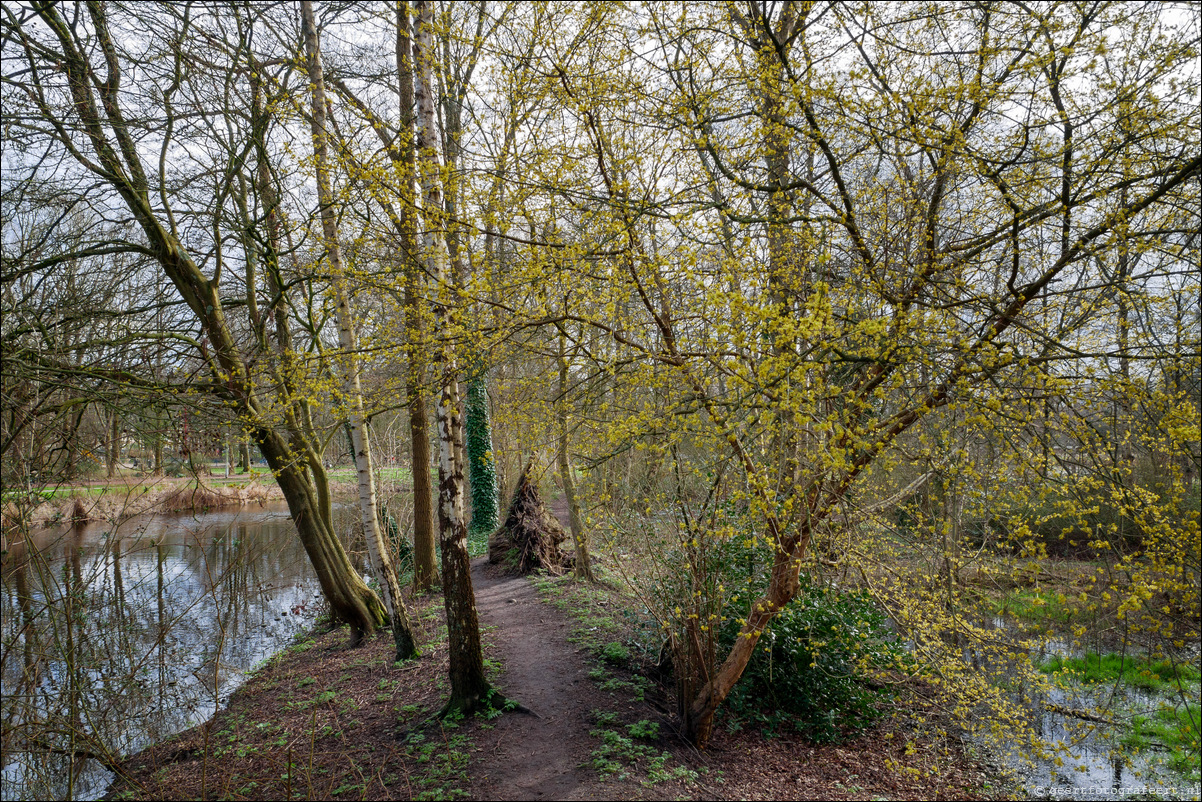 Amsterdam Rembrandtpark lente