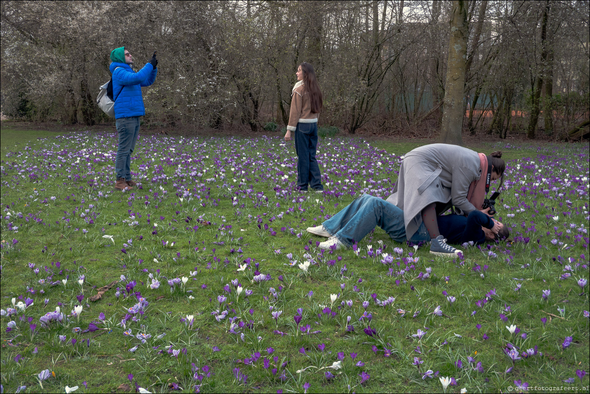 Amsterdam Vondelpark lente