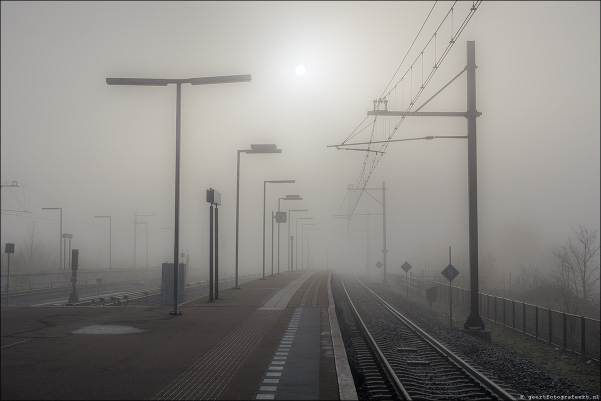 op naar het licht - advent